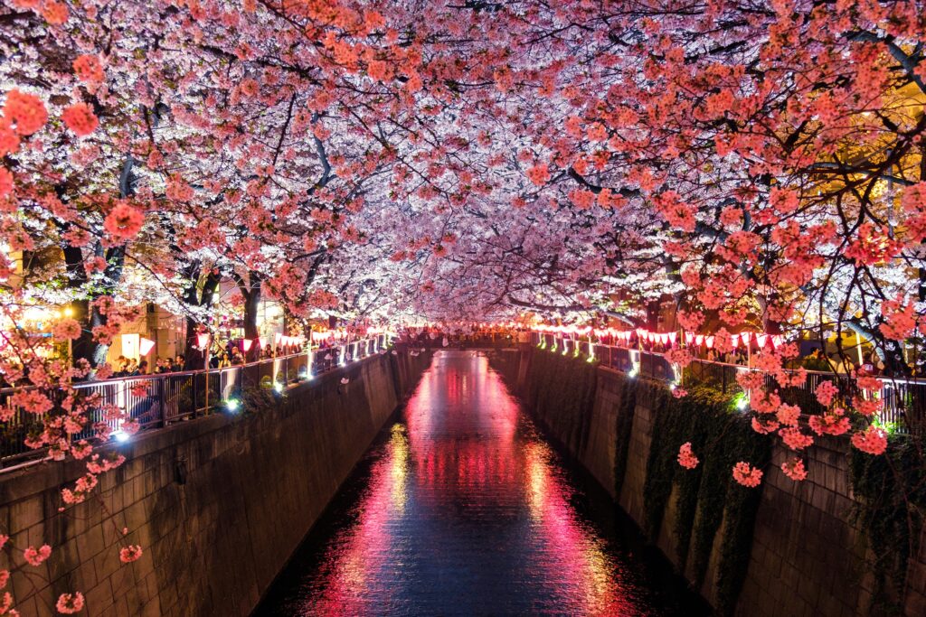 Japón: Tradición y Futuro